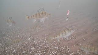 Ice Fishing Mille Lacs lake (First Ice)