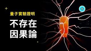 量子實驗證明，世界不存在因果論，以及如何改變命運