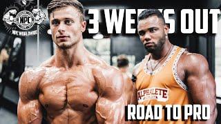 TRAINING W/ MY COACH ALEX TOPLYN | 3 WEEK OUT POSING UPDATE