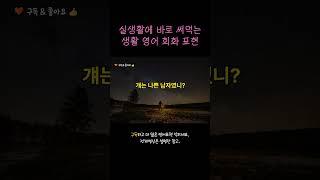 매일매일 반복듣기 | 영어회화 | 생활영어 | 쉐도잉영어 | 실생활에서 바로 써먹는 영어 표현