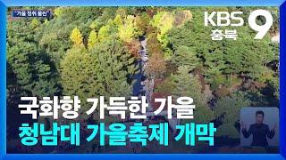 국화향 가득한 가을…청남대 가을축제 개막 / KBS  2024.10.26.