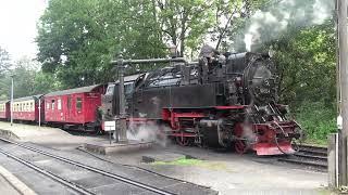 Harzer Schmalspurbahn /  Harzquerbahn op 19-09-2024