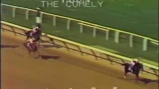 Remembering Ruffian Part 1: Perfection