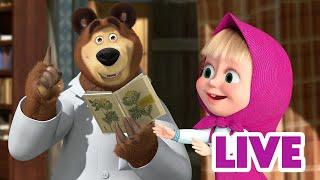 ماشا والدب ‍️ LIVE STREAM!  يوم آخر، حلم آخر  Masha and the Bear