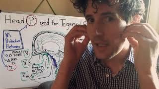 Headaches and the Trigeminal System