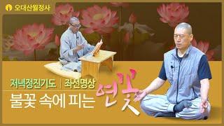 불꽃속에피는연꽃 9월 24일 저녁정진기도 | 스님과 함께하는 좌선명상 | Guided Daily Meditation