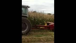 chopping corn with horning processor