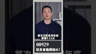 00929配息會繼續縮水｜楚狂人｜玩股網20241109