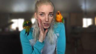 CONURE CARE | All About Conure Parrots as Pets!!!