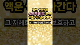 소코뚜레 종 당장 현관에 두세요. 액운 싹 날아간다. #대운 #재물운 #풍수 #돈복 #액운 #풍수인테리어