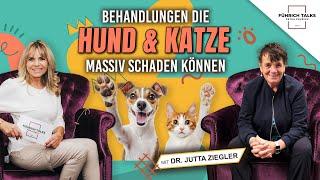 Bist du bereit, die Wahrheit über Tiergesundheit zu erfahren? Mit Dr. Jutta Ziegler