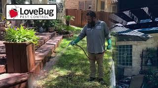 LoveBug Pest Control