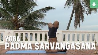 Learn yoga poses: Padma sarvangasana (shoulder stand lotus pose)