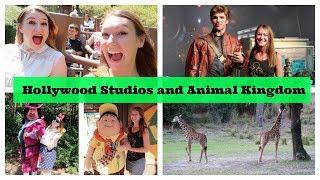 A Fun Day in Hollywood Studios and Animal Kingdom with Charlotte Ruff  l  Disney CRP