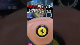 오직 페라리에서만 볼 수있는 신기한 기능!!!