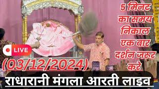 श्री धाम बरसाना श्री लाड़ली जी महाराज भव्य मंगला आरती दर्शन श्री हरिवंश LIVE | Yash Goyal Brajwasi