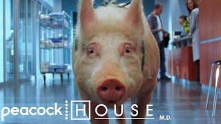 Relax, It's Kosher | House M.D..