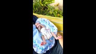 [A Heartwarming Bond] Mom & Tiny KT Enjoy a Cozy Hammock Moment