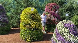 PVG Walkabout Garden Tour:  Oh no! What happened to the flower towers?