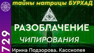 #729 Разоблачение чипирования в Кассиопее: Тайны Матрицы Бурхад. Ирина Подзорова