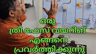 Three phase wiring  oparation|ഒരു ത്രീ ഫേസ് വയറിങ് എങ്ങനെ പ്രവർത്തിക്കുന്നു..|hamza anchumukkil