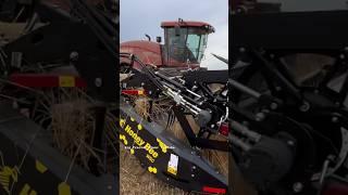 CASE IH WD2105 Windrower #bigtractorpower #caseih #tractor #honeybee #wheat #harvest #automobile