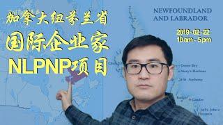 纽芬兰省NLPNP 开放国际企业家移民EOI申请 | 官网只给出7小时，又要抢名额吗？【#talltalk涛声 #加拿大移民说 20190213】