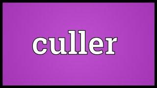 Culler Meaning