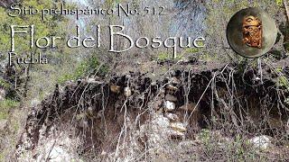 Sitio prehispánico No. 512. Flor del Bosque, Puebla, México