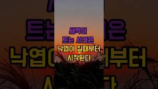 새싹이 트는 사연은 낙엽이 질 때부터 시작된다