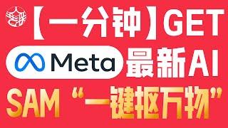 【哪里想抠抠哪里】一分钟学会Meta最新抠图AI神器SAM“一键抠万物”