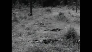 Rifle Platoon in the Attack. Late 1950's Early 1960's