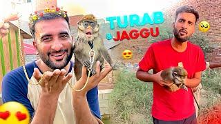 Turab infinitely loves jaggu | shehr main dihat | video editing |