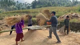 Karen people simple life in the mountains Threshing floor, Primitive lifestyle.