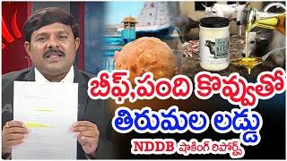 బీఫ్, పంది కొవ్వుతో  తిరుమల లడ్డు | Mahaa Vamsi Analysis On Tirupati Laddu | Tirupati Ghee