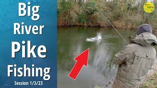 Big River Pike - Predator Float Fishing With Circle Hooks - 1/3/23 (Video 389)