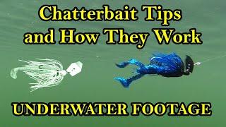 Chatterbait Fishing Lure Tips and How They Work Underwater (Underwater Bass Fishing Lures)