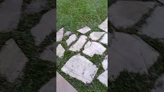 COMO PLANTAR GRAMA SÃO CARLOS