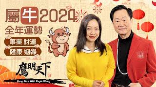 2024龍年運程 | 屬牛今年吉凶參半 容易招惹是非官非 教你化解及提升健康的方法 事業 感情 財運 健康 全方位分析 |《鷹明天下》12生肖運程 (精簡版)