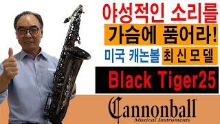 야성적인 소리를 가슴에 품어라!  신모델 Black Tiger25