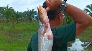 Trip Kembara Joran Memancing & Bermalam di tepi Sungai.