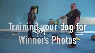 Training your dog for winners photos