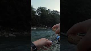 Как ловить форель на блесну⁉️ 2 способа #fishing #рыбалка #абхазия #форель #ловляфорели