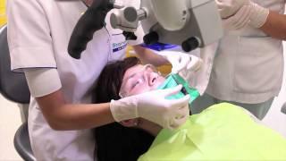 Root canal therapy www.eurodentalclinic.com