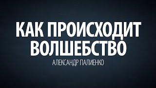 Как происходит волшебство. Александр Палиенко.