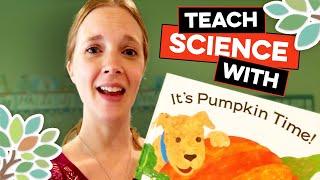 Fun Science Activities for Preschoolers with Pumpkins - Scientific Method | Teaching Youngsters