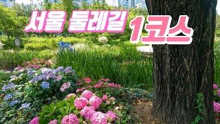 새로워진 서울둘레길 2.0 / 1코스 6.3km 걸어보기 /  시원한 계곡 / 수락산 코스 / 서울창포원에서 당고개 공원 갈림길까지