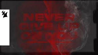 Ryan Shepherd feat. Georgi Kay - Never Give Up On You (Official Lyric Video)