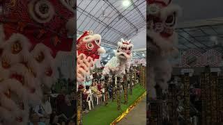 Yi Wei  | Lion dance | double the fun