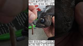 던질찌 볼락낚시 청개비 꿰는 방법플로트리그